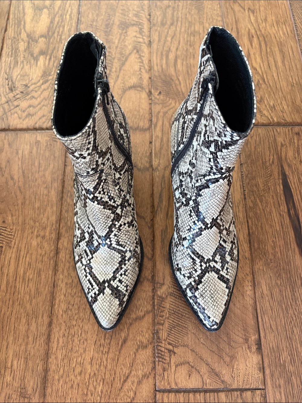 Jeffrey Campbell Snake-Print Pointed Toe Ankle Boots - Beige/Black